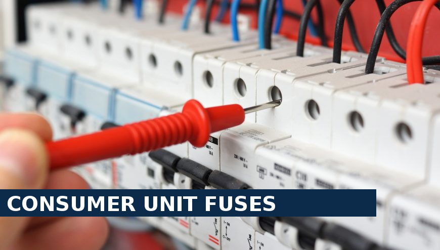 Consumer unit fuses Longfield